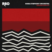 RSO Performs Green Day