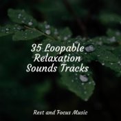 35 Loopable Relaxation Sounds Tracks