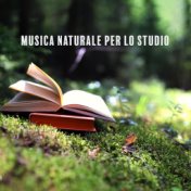 Musica naturale per lo studio (Suoni per una migliore concentrazione)