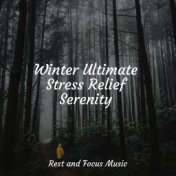 Winter Ultimate Stress Relief Serenity