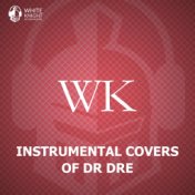 Instrumental Covers of Dr. Dre