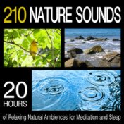 Natural Meditation & Relaxation