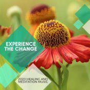 Experience The Change - 2020 Healing And Meditation Music