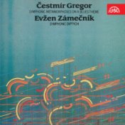 Gregor: Symphonic Metamorfoses On a Blues Theme - Zámečník: Symphonic diptych