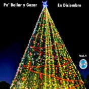 Pa' Bailar y Gozar en Diciembre, Vol. 1