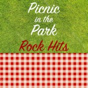 Picnic in the Park Rock Hits