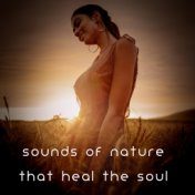 Sounds of Nature That Heal the Soul - Gentle New Age Music That Will Help You Fight Stress and Get Rid of Emotional Anxiety, Pea...