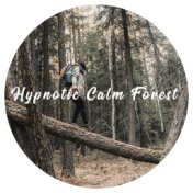 Hypnotic Calm Forest - Serenity Mind, Stop Feeling Anxiety, Soft Sounds of Nature, Body & Mind Relax Music