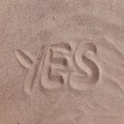 Say YES to Life | Zen, Serotonin, Calmness