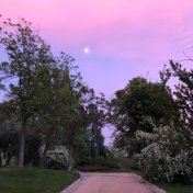 Grabaciones de Naturaleza|, Relajación Absoluta