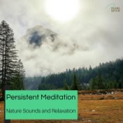 Persistent Meditation - Nature Sounds And Relaxation