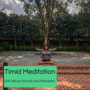 Timid Meditation - Soft Nature Sounds And Relaxation