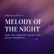Melody of the Night: New Age Ambient Music for Quiet Moments