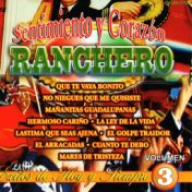 Sentimiento Y Corazon Ranchero, Vol. 3