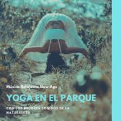 Yoga en el Parque: Música Relajante New Age con los Mejores Sonidos de la Naturaleza