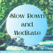 Slow Down and Meditate: Nature Soundscapes for Your Daily Meditation Practice