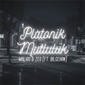 Platonik Mutluluk