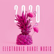 2020 Electronic Dance Music: Clean Tropical Summer Vibe Playlist