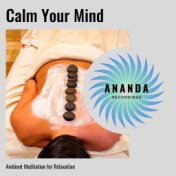 Calm Your Mind: Ambient Meditation for Relaxation