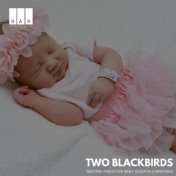 Two Blackbirds: Bedtime Piano for Baby Sleep in Christmas