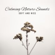 Calming Nature Sounds (Soft and Nice) – Music to Relax, Sleep, Meditation or Study