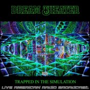 Trapped In The Simulation (Live)