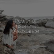 Powerful Insomnia Assistance