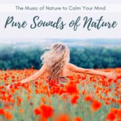 Pure Sounds of Nature: The Music of Nature to Calm Your Mind