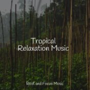 Tropical Relaxation Music
