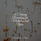 50 Calming Recordings for Meditation and Yoga