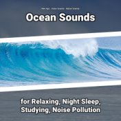 Ocean Sounds for Relaxing, Night Sleep, Studying, Noise Pollution
