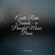 Exotic Rain Sounds - a Peaceful Music Pieces