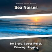Sea Noises for Sleep, Stress Relief, Relaxing, Jogging
