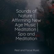 Sounds of Nature | Affirming New Age Music | Meditation | Spa and Meditation