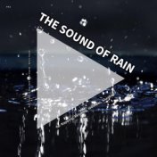 #01 The Sound of Rain for Napping, Relaxing, Wellness, Slumber