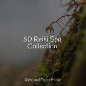 50 Reiki Spa Collection