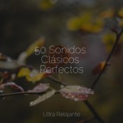 50 Sonidos Clásicos Perfectos