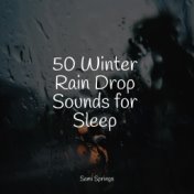 50 Winter Rain Drop Sounds for Sleep