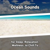 z Z Ocean Sounds for Sleep, Relaxation, Wellness, to Chill To