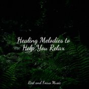 Healing Melodies to Help You Relax