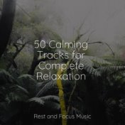 50 Calming Tracks for Complete Relaxation