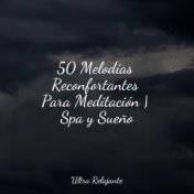50 Melodías Reconfortantes Para Meditación | Spa y Sueño