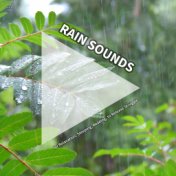 #01 Rain Sounds for Relaxation, Sleeping, Reading, to Release Struggle