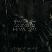 #50 Gentle Sounds for Mindfulness