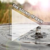 #01 The Sound of Rain for Sleep, Relaxation, Studying, Yoga