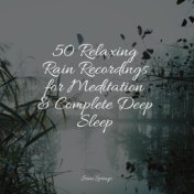50 Relaxing Rain Recordings for Meditation & Complete Deep Sleep