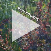 #01 Rain Sounds for Sleeping, Relaxation, Studying, Tinnitus Relief