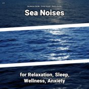 z Z Sea Noises for Relaxation, Sleep, Wellness, Anxiety