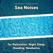 z Z Sea Noises for Relaxation, Night Sleep, Reading, Newborns