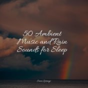 50 Ambient Music and Rain Sounds for Sleep